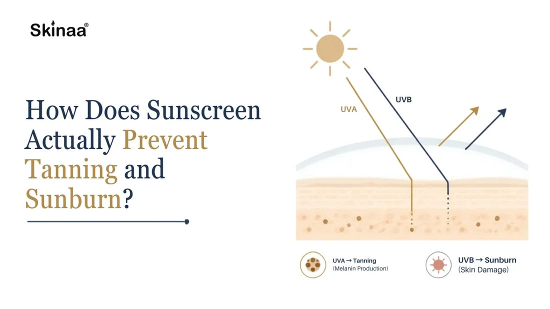 How Does Sunscreen Actually Prevent Tanning and Sunburn?
