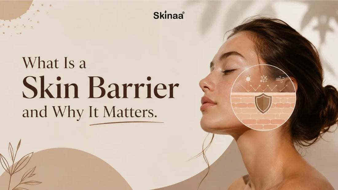 What skin barrier means and why it is important for healthy skin.