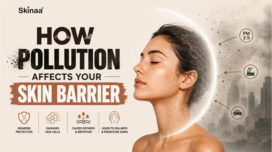 How pollution damages the skin barrier and causes dryness, irritation, and dullness.