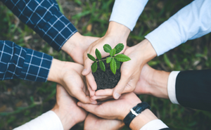 The Environmental Impact of Skincare: Sustainable Practices in the Beauty Industry