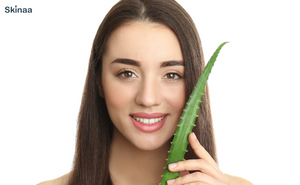 3 Ways To Use Aloe Vera For Oily Skin