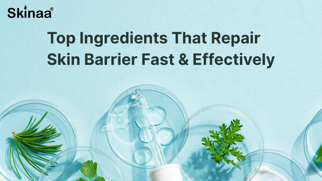 Top Ingredients That Repair Skin Barrier Fast & Effectively